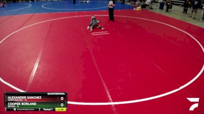 65 lbs Quarterfinals (8 Team) - Alexander Sanchez, Worthington vs Cooper Borland, Bemidji