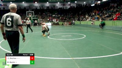 106 lbs 3rd Place Match - Connor Bayliss, Mt. Vernon (Fortville) vs Matthew Baylor, Milan