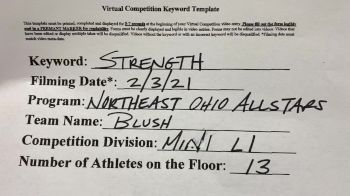 Northeast Ohio All Stars - Blush [L1 Mini] 2021 Varsity All Star Winter Virtual Competition Series: Event II