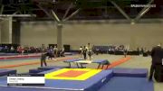 Zheen Zheng - Double Mini Trampoline, World Elite - 2021 USA Gymnastics Championships