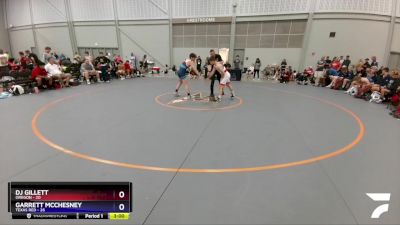 138 lbs Round 1 (8 Team) - DJ Gillett, Oregon vs Garrett McChesney, Texas Red