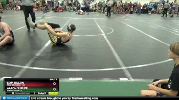 160 lbs Finals (2 Team) - Liam Dillon, Neighborhood vs Aaron Supler, Xtreme Team