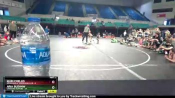 60 lbs Finals (2 Team) - Aria Bushaw, Carolina Reapers vs Quin Chellis, Summerville Takedown Club