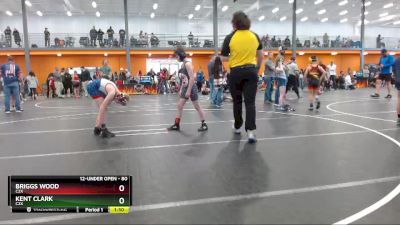 80 lbs Round 5 - Briggs Wood, C2x vs Kent Clark, C2x