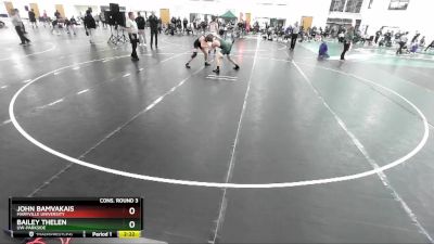 157 lbs Cons. Round 3 - John Bamvakais, Maryville University vs Bailey Thelen, UW-Parkside