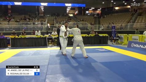 MICHAEL ANGEL DE LA PAZ vs RENNAN REGINALDO SILVA 2024 Pan Jiu Jitsu IBJJF Championship