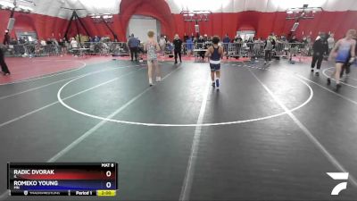 149 lbs Quarterfinal - Radic Dvorak, IL vs Romeko Young, MN