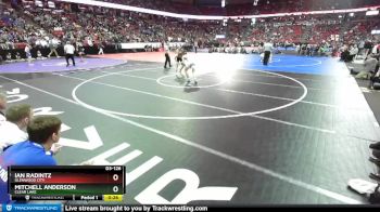 D3-126 lbs 3rd Place Match - Ian Radintz, Glenwood City vs Mitchell Anderson, Clear Lake