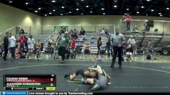 67 lbs Round 4 (6 Team) - Alexander Schnurstein, Mi Pitbull vs Calihan Weber, American Gladiators-Havoc