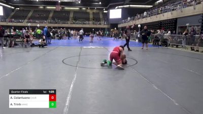 100 lbs Quarterfinal - Anthony Colantuono, Churchville vs Adrien Trinh, Hanover