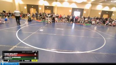 45 lbs Cons. Round 1 - Evrett Gardiner, Independent vs Sage Balliett, Roy Wrestling Club