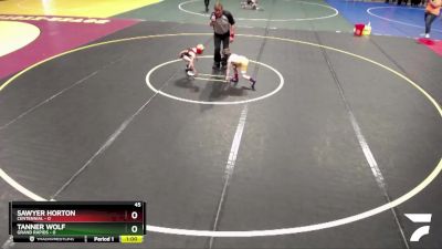 45 lbs Semis & 1st Wrestleback (8 Team) - Tanner Wolf, Grand Rapids vs Sawyer Horton, Centennial