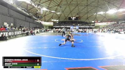 2A 113 lbs Cons. Round 2 - Roberto Rivera-Jesus, Black Hills vs Brody Davis, Washougal