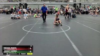 64 lbs Finals (2 Team) - Johnny Cambra, Buffalo Valley WC vs Michael Roshia, Mat Warriors Green