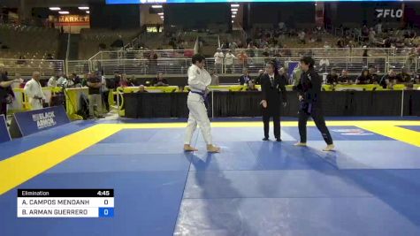 ANDRÉ CAMPOS MENDANHA vs BENICIO ARMAN GUERRERO 2024 Pan Jiu Jitsu IBJJF Championship