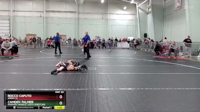 80 lbs Cons. Round 2 - Camden Palmer, Hanover Hawkeye Youth Wrestling vs Rocco Caputo, Jersey 74