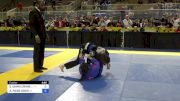 SERINEH DIANA CRANE vs ALYSON PAIGE DAVIS 2024 Pan Jiu Jitsu IBJJF Championship