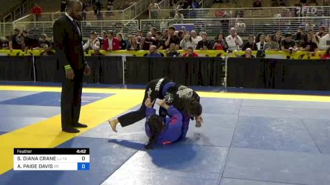 SERINEH DIANA CRANE vs ALYSON PAIGE DAVIS 2024 Pan Jiu Jitsu IBJJF Championship