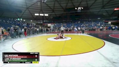 113 lbs Cons. Round 5 - Luke Sturdivant, South West Washington Wrestling Club vs Leo Whitaker, Snoqualmie Valley Wrestling Club