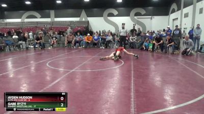 85 lbs Placement Matches (8 Team) - Ayden Hudson, Elite Ath Club WE vs Gabe Ryzyi, Dundee Wrestling (MI)