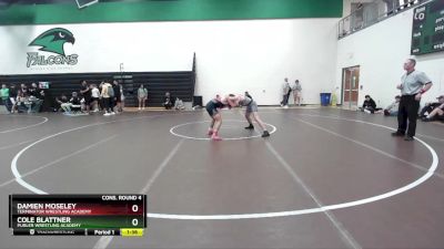 126 lbs Cons. Round 4 - Cole Blattner, Purler Wrestling Academy vs Damien Moseley, Terminator Wrestling Academy