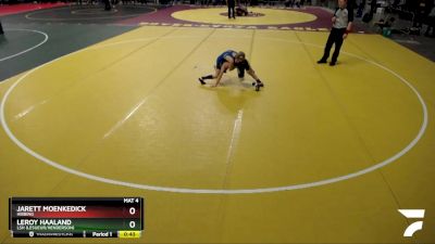 80 lbs Cons. Round 3 - Jarett Moenkedick, Hibbing vs LeRoy Haaland, LSH (LeSueur/Henderson)