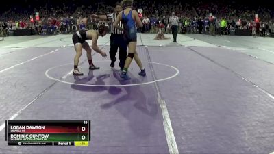 D2-120 lbs Quarterfinal - Dominic Gumtow, Warren Woods-Tower HS vs Logan Dawson, Lowell HS