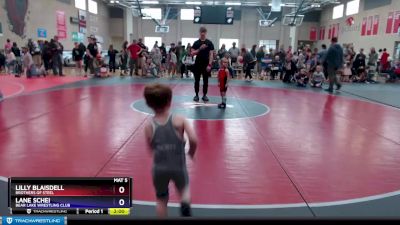 41 lbs Round 1 - Lilly Blaisdell, Brothers Of Steel vs Lane Schei, Bear Lake Wrestling Club