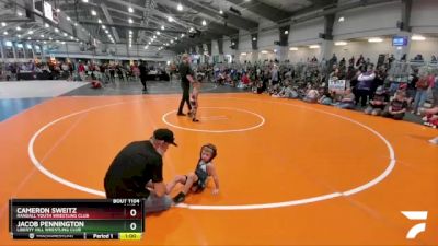 42 lbs Quarterfinal - Cameron Sweitz, Randall Youth Wrestling Club vs Jacob Pennington, Liberty Hill Wrestling Club