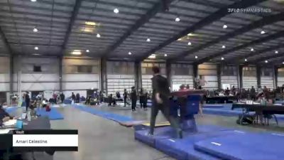 Amari Celestine - Vault - 2021 Region 1 Women's Championships