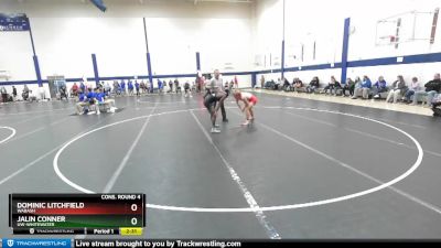 149 lbs Cons. Round 4 - Dominic Litchfield, Wabash vs Jalin Conner, UW-Whitewater