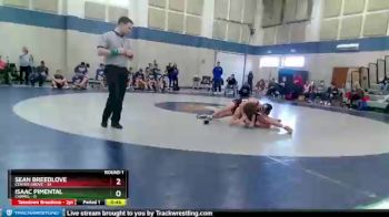 110 lbs Round 1 (4 Team) - Sean Breedlove, Center Grove vs Isaac Pimental, Carmel
