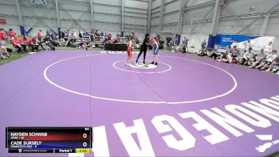 94 lbs Quarters & 1st Wb (16 Team) - Hayden Schwab, Iowa vs Cade Sursely, Minnesota Red