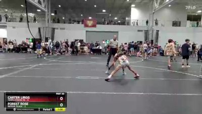 84 lbs Round 1 (4 Team) - Carter Lirgg, Terps Xtreme MS vs Forest Rose, Revival Black