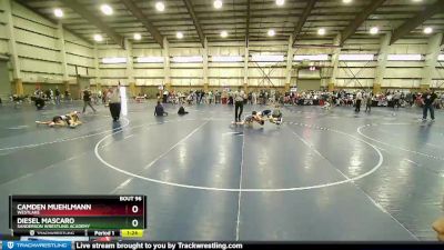 105 lbs 3rd Place Match - Diesel Mascaro, Sanderson Wrestling Academy vs Camden Muehlmann, Westlake