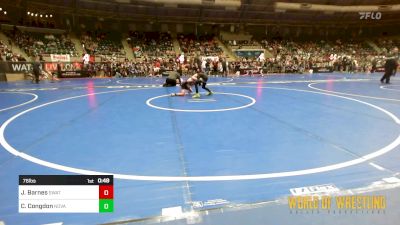 76 lbs Consi Of 16 #2 - Jace Barnes, SWAT vs Chase Congdon, Nova Wrestling Club