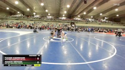 85 lbs Cons. Round 2 - Hudson Niemann, Ray-Pec Wrestling Club-AA vs Tucker Hoerrmann, Blue Pride Wrestling Club-AAA