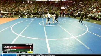 D3-138 lbs 1st Place Match - Lucas Sullivan, Mineral Point vs Colton Weiler, Auburndale