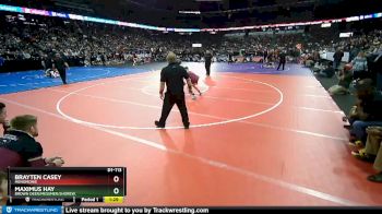 D1-113 lbs Semifinal - Maximus Hay, Brown Deer/Messmer/Shorew. vs Brayten Casey, Menomonie