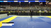 WILLIAM MOWER SANDS vs JOHN WILLIAM MITCHELL III 2024 Pan Jiu Jitsu IBJJF Championship