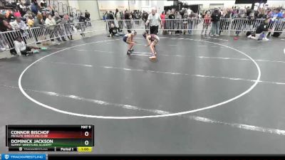 82 lbs Quarterfinal - Connor Bischof, MN Elite Wrestling Club vs Dominick Jackson, Summit Wrestling Academy