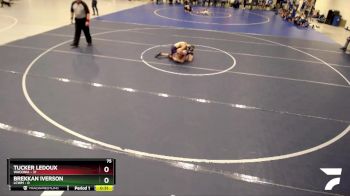 75 lbs Quarterfinals (8 Team) - Brekkan Iverson, LCWM vs Tucker Ledoux, Waconia