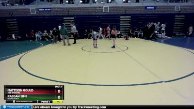 65 lbs Round 5 - Mattison Gould, 208 Badgers vs Raegan Sims, Idaho Gold