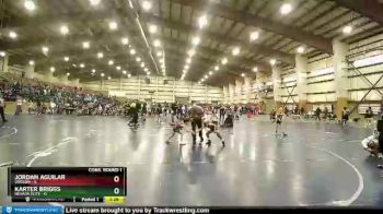 49 lbs Quarters & Wb (16 Team) - Karter Briggs, Nevada Elite vs Jordan Aguilar, Oregon