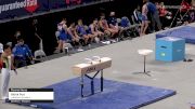 Rithik Puri - Pommel Horse, Lakeshore Academy - 2021 US Championships