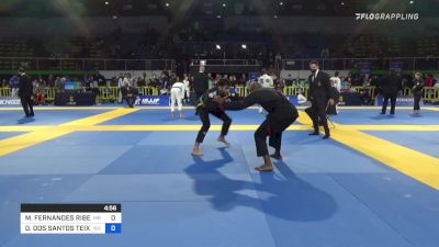 MATHIAS FERNANDES RIBEIRO vs DANIEL DOS SANTOS TEIXEIRA 2022 European Jiu-Jitsu IBJJF Championship