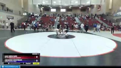 108 lbs Round 5 - Jax Mescher, All In Wrestling Academy vs Hendrix Edstrom, Upper Valley Aces