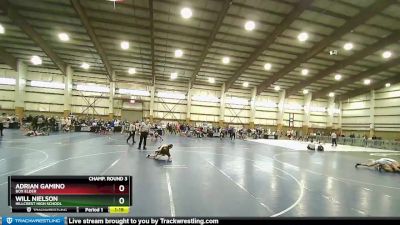 101 lbs Champ. Round 3 - Adrian Gamino, Box Elder vs Will Nielson, Hillcrest High School