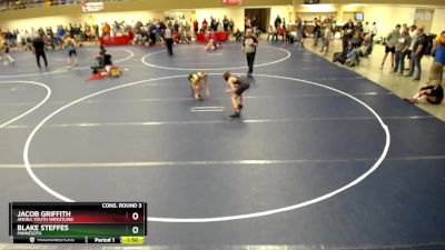 110 lbs Cons. Round 3 - Jacob Griffith, Anoka Youth Wrestling vs Blake Steffes, Minnesota