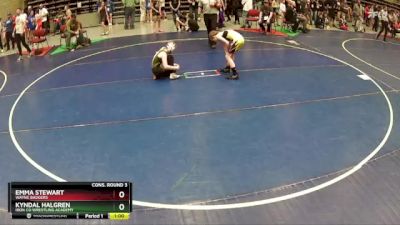 85 lbs Cons. Round 3 - Emma Stewart, Wayne Badgers vs Kyndal Halgren, Iron Co Wrestling Academy